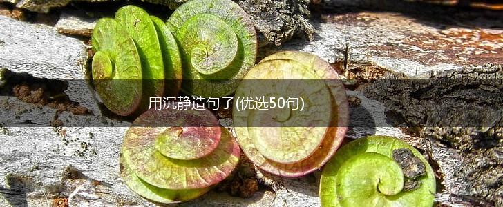 用沉静造句子(优选50句),第1张