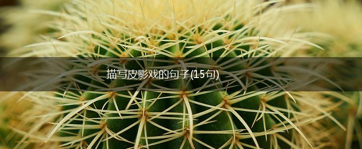 描写皮影戏的句子(15句),第1张