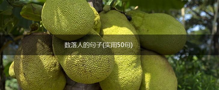数落人的句子(实用50句),第1张