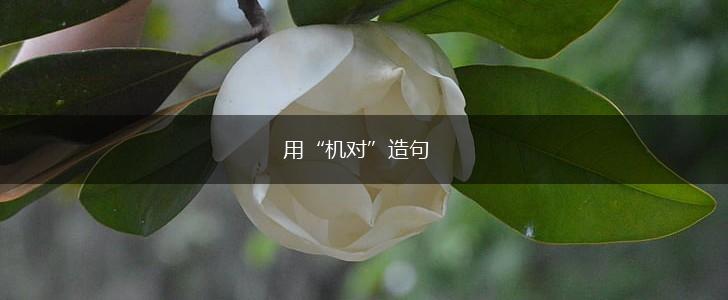 用“机对”造句,第1张