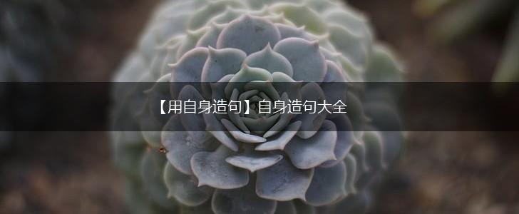 【用自身造句】自身造句大全,第1张
