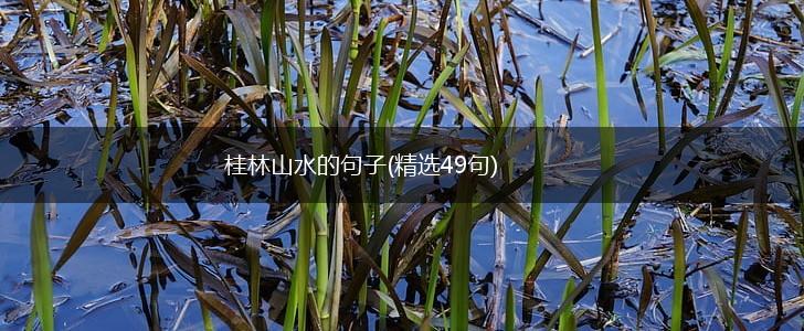 桂林山水的句子(精选49句),第1张
