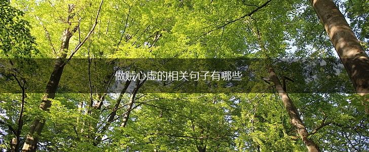 做贼心虚的相关句子有哪些,第1张