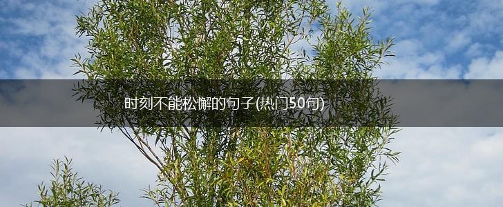 时刻不能松懈的句子(热门50句),第1张
