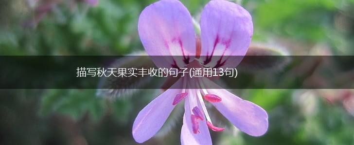 描写秋天果实丰收的句子(通用13句),第1张