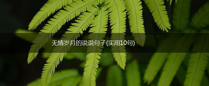 无情岁月的说说句子(实用10句),第1张