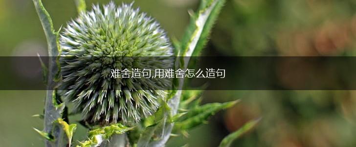 难舍造句,用难舍怎么造句,第1张