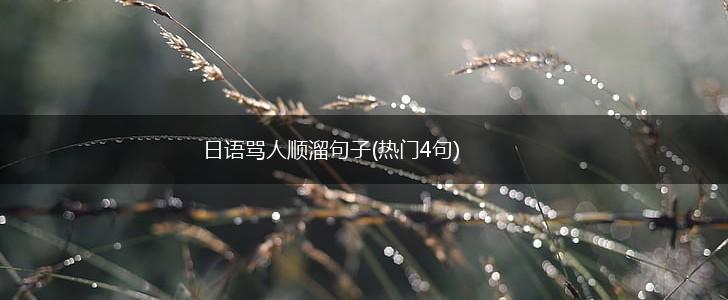 日语骂人顺溜句子(热门4句),第1张
