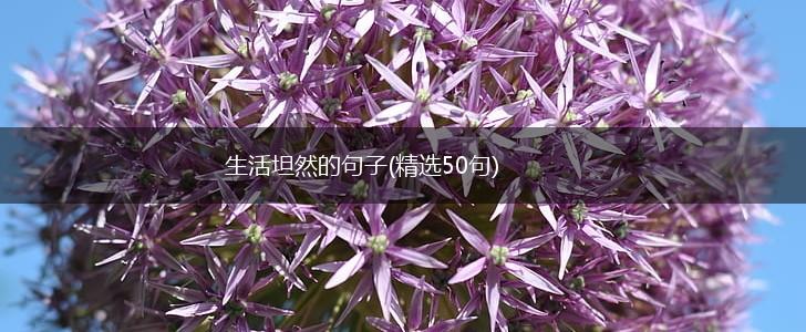生活坦然的句子(精选50句),第1张