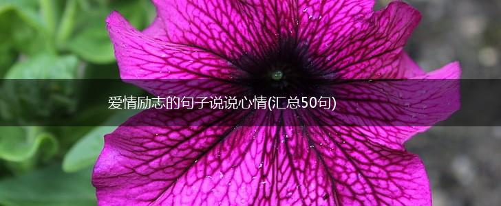 爱情励志的句子说说心情(汇总50句),第1张