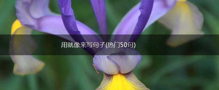 用就像来写句子(热门50句),第1张