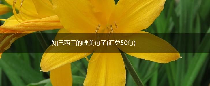知己两三的唯美句子(汇总50句),第1张