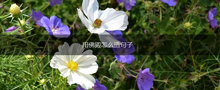 用佛殿怎么造句子,第1张