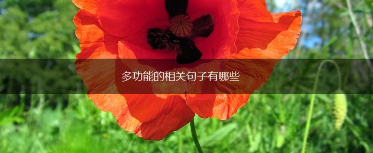 多功能的相关句子有哪些,第1张