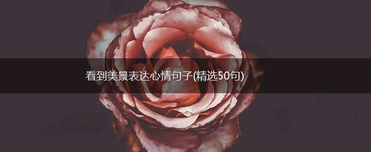 看到美景表达心情句子(精选50句),第1张