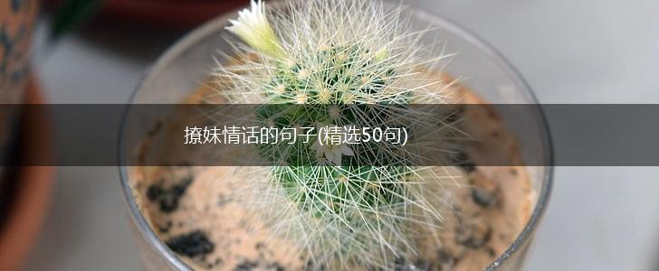 撩妹情话的句子(精选50句),第1张