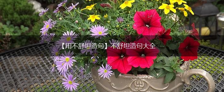 【用不舒坦造句】不舒坦造句大全,第1张