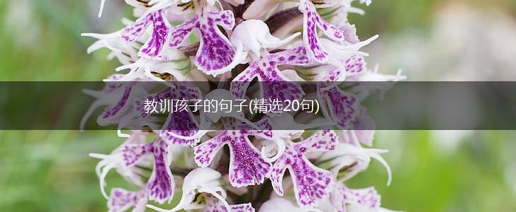 教训孩子的句子(精选20句),第1张