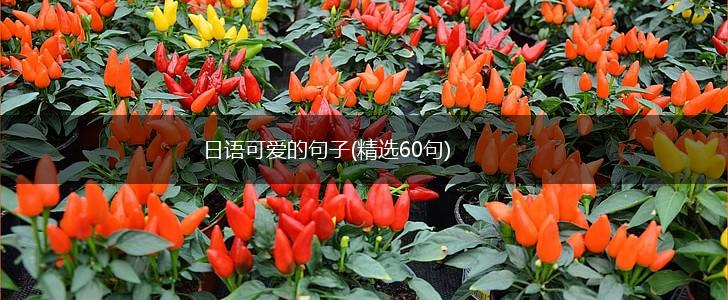 日语可爱的句子(精选60句),第1张
