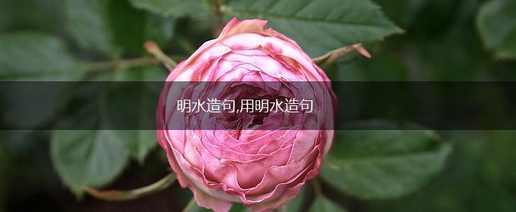 明水造句,用明水造句,第1张