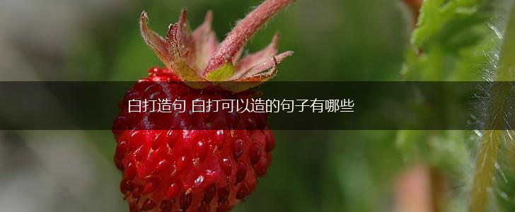 白打造句 白打可以造的句子有哪些,第1张