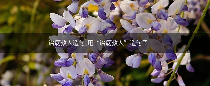 治病救人造句_用“治病救人”造句子,第1张