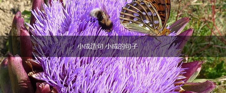 小成造句 小成的句子,第1张