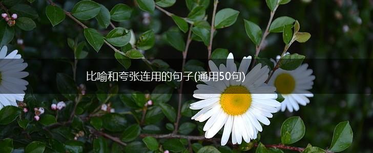 比喻和夸张连用的句子(通用50句),第1张