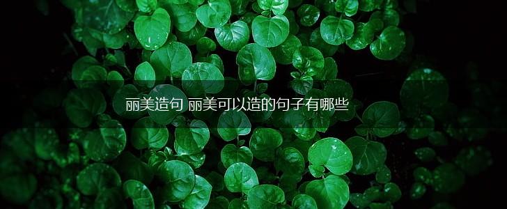 丽美造句 丽美可以造的句子有哪些,第1张