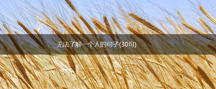 无法了解一个人的句子(30句),第1张