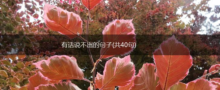 有话说不出的句子(共40句),第1张
