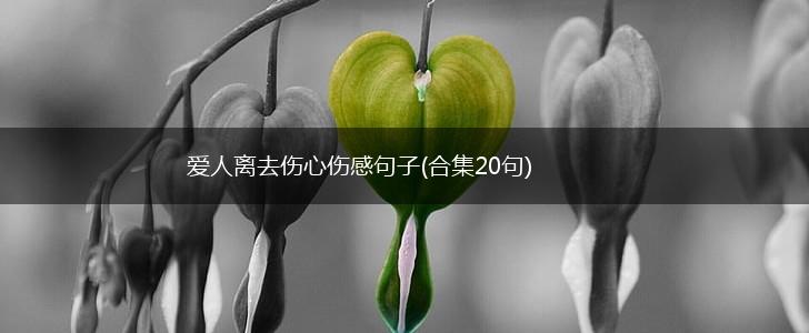 爱人离去伤心伤感句子(合集20句),第1张