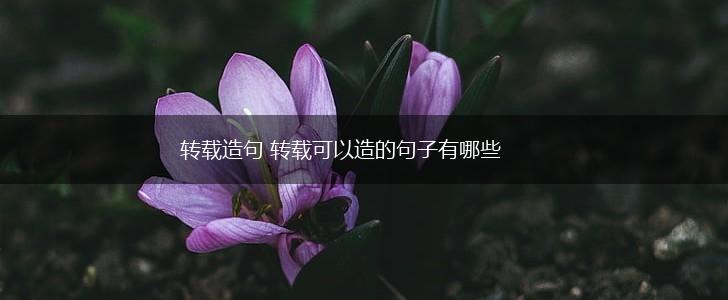 转载造句 转载可以造的句子有哪些,第1张