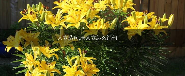 人立造句,用人立怎么造句,第1张