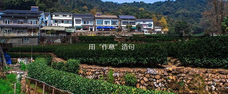 用“作意”造句,第1张