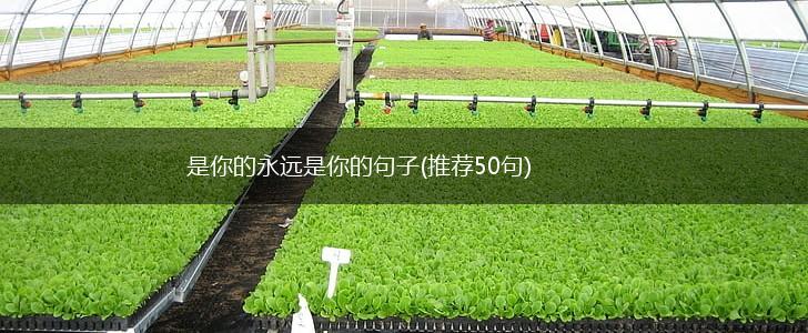 是你的永远是你的句子(推荐50句),第1张