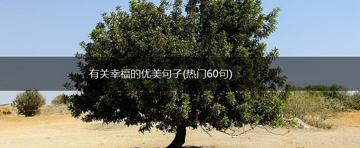 有关幸福的优美句子(热门60句),第1张