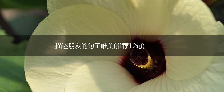 描述朋友的句子唯美(推荐12句),第1张