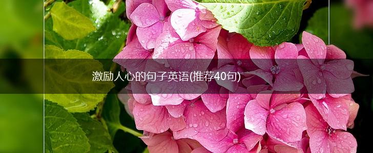 激励人心的句子英语(推荐40句),第1张