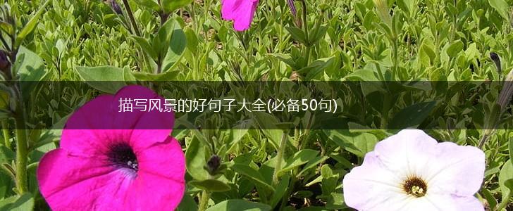 描写风景的好句子大全(必备50句),第1张