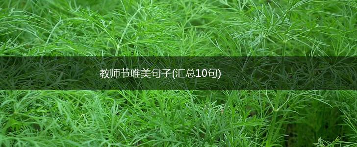 教师节唯美句子(汇总10句),第1张