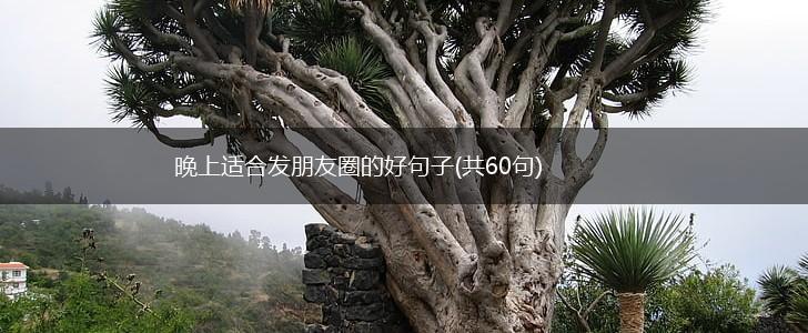 晚上适合发朋友圈的好句子(共60句),第1张