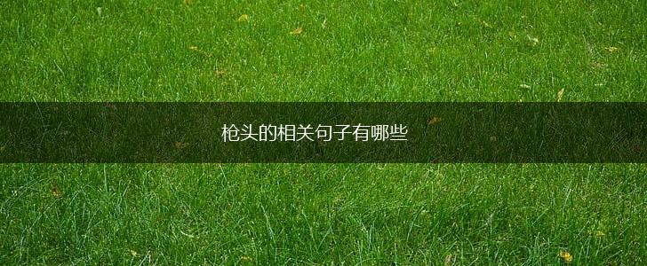 枪头的相关句子有哪些,第1张