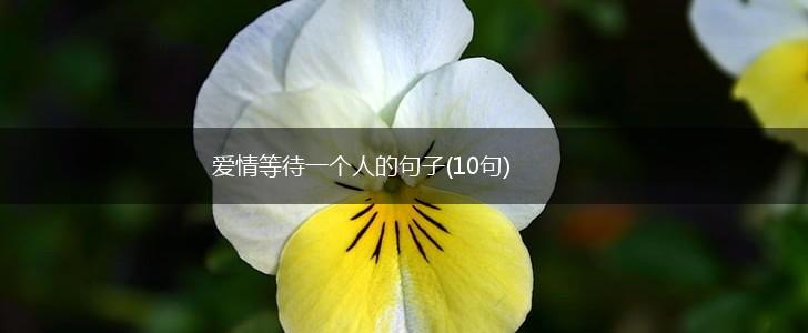 爱情等待一个人的句子(10句),第1张