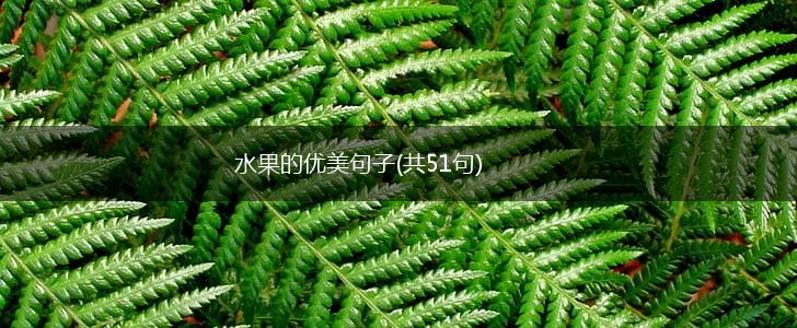 水果的优美句子(共51句),第1张