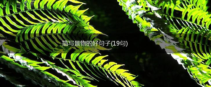 描写景物的好句子(19句),第1张