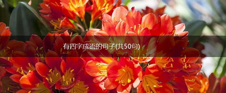 有四字成语的句子(共50句),第1张