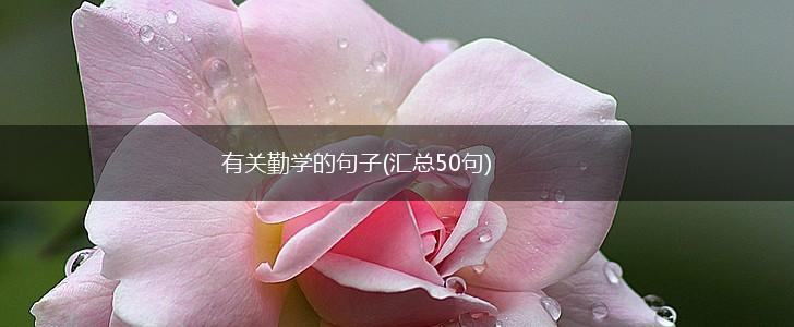 有关勤学的句子(汇总50句),第1张