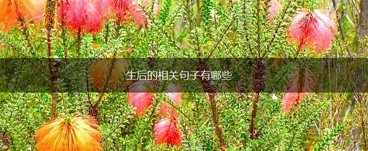 生后的相关句子有哪些,第1张