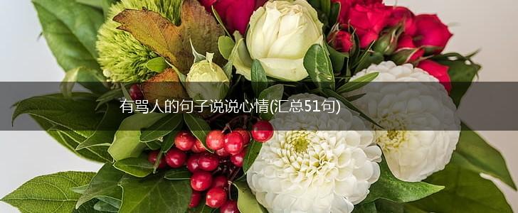 有骂人的句子说说心情(汇总51句),第1张